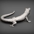 Day-Gecko5.jpg Day Gecko 3D print model
