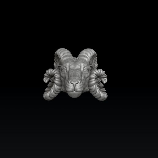 fd5sf45er5f3d2s4grt6e.jpg Aries Head Pendant 3D print model