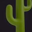 0117_Cactus_R_0005.jpg Cato Saguaro