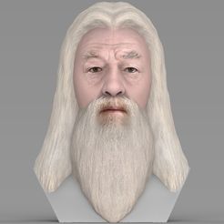 untitled.1739.jpg 3D file Dumbledore from Harry Potter bust for full color 3D printing・Model to download and 3D print