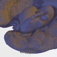 21.jpg NEWBORN BABY SLEEPING ON THE WINGS 3D print model