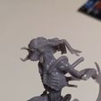 20230304_232737.jpg Predator Alien (Predalien)