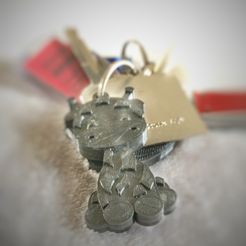 IMG_1556.JPG Keychain giographer