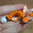 bat-fox-pic3.jpg Bat Wing Fox