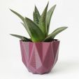 IMG_20190609_134519_569.jpg STL file Low poly pot / Plant cactus・3D printing design to download