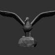 seagull-on-the-stone9.jpg Seagull on the stone 3D print model