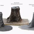 single_tree_stump_turntable_tree_fix_2.jpg Free STL file 3D Scanned Tree Stump for Tabletop Scatter Terrain・3D printable model to download