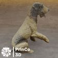 figura-perro-escaner-3d-5.jpg 3D Scanner Dog Figure / Asset Dog Figure