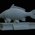 carp-statue-19.png fish carp / Cyprinus carpio statue detailed texture for 3d printing