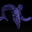 ZBrush-Documentsdfsfsd.jpg RAM SKULL