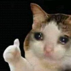 sad-thumbs-up-cat.jpg Weinende Katze (Daumen) - Meme