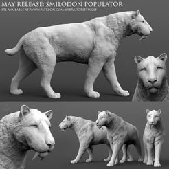 Smilodon-populator-walking-Patreon-Release.jpg Smilodon populator, Saber-Toothed Tiger (walking)