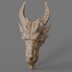 ds.488.jpg Dragon skull 3D print model