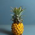 07.jpg Pineapple coasters