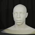 toma-3.png Thierry Henry Bust