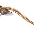 Image0003.png Fin Whale Skeleton – Realistic Marine Anatomy 3D Model