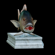 Dentex-mouth-statue-10.png fish Common dentex / dentex dentex open mouth statue detailed texture for 3d printing