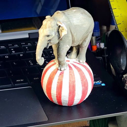 20251007_172622.jpg Elephant on a ball