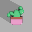 Potted-plant-2-1.png Cactus