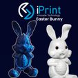 Bazaart_20240224_100321_891.jpeg Hungry Easter Bunny | Fast Print - Detailed