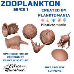 1.jpg 3D-Datei Zooplankton - Serie 1, 7 models for Educational purposes kostenlos・3D-Druck-Modell zum herunterladen