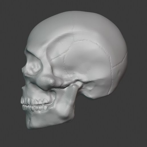 Download Stl File Skull • 3d Printer Template ・ Cults