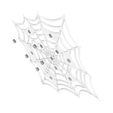 web-Ex.png Spiderweb Picture Board