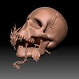 skull-3d-model-obj-stl-ztl-7.jpg Skull 3D print model