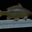 carp-statue-11.png fish carp / Cyprinus carpio statue detailed texture for 3d printing