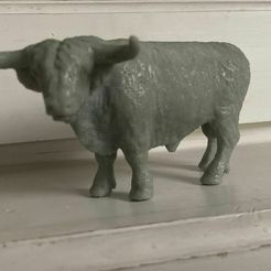 WhatsApp-Image-2023-08-25-at-07.01.17.jpeg STL file highlander bull・3D printing idea to download
