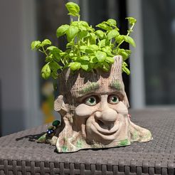 PXL_20210425_105517245.PORTRAIT.jpg Cartoon Style Tree Face Planter