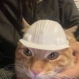 cat-helmet.jpg Safety Cat Helmet -