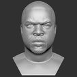 1.jpg Ice Cube bust 3D printing ready stl obj formats