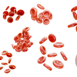 NA_Render_2.png Normal Blood Cells vs Anemia