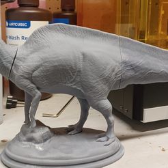 Magnapaulia lauticaudatus - Statue for 3D printing