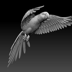 21321321.jpg STL file parrot・3D printing template to download, ExplorerPaydi