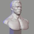 3.jpg Arnold Schwarzenegger 3d sculpture bust