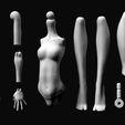 render.jpg Replacement parts for Monster High big sister body type - articulated
