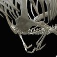 07.jpg Tyrannosaurus rex: 3D skeleton
