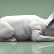 French-Bulldog4.jpg French Bulldog 3D print model