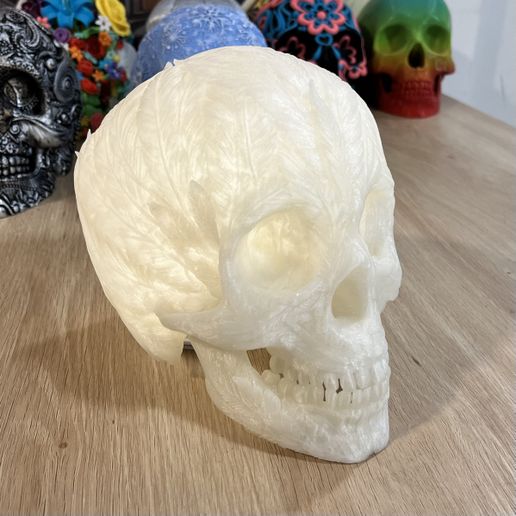 IMG_9396.jpeg Feather Skull