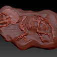 triceratops-1a.png Triceratops Fossil Rock - 3D Skeleton of Triceratops Dinosaur