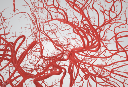 artery,-cerebrovascular,-brain,-face,-hemisphere,-willis,-dental,-neck,-vein,-head,-cerebellum,-vasc.png 3D 头颈部血管解剖图 - 动脉、静脉和脑血管系统