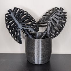 PXL_20210721_215800846.jpg Fichier STL Treillis de cage thoracique・Modèle à télécharger et à imprimer en 3D