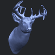 11_TDA0615_Deer_HeadB08.png Hirschkopf