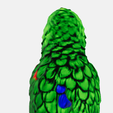 bbird.png Parrot Transfigured Figure