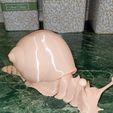 flexi snail