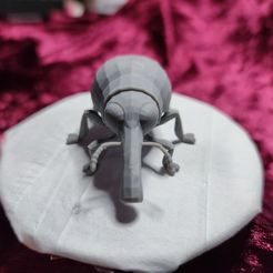 Rüssel_front-Kopie.jpg Archivo STL gorgojo・Plan de impresión en 3D para descargar