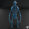Arctodus-skeleton-wax-2.png Arctodus simus - short faced bear skeleton 3D print model