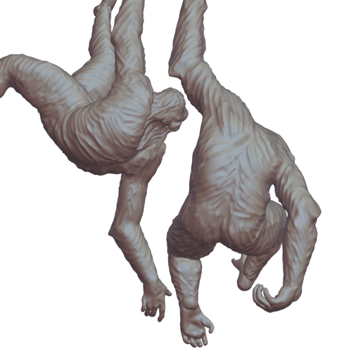 IMG_8582.png hanging monkeys